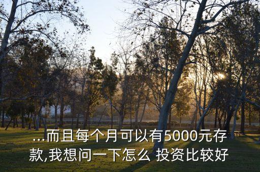 ...而且每個(gè)月可以有5000元存款,我想問(wèn)一下怎么 投資比較好