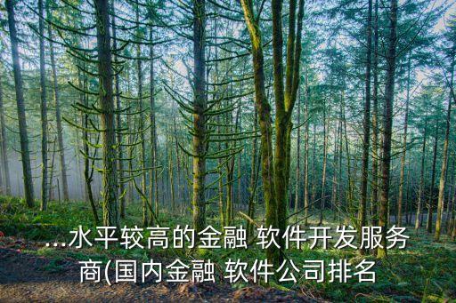 ...水平較高的金融 軟件開發(fā)服務(wù)商(國內(nèi)金融 軟件公司排名