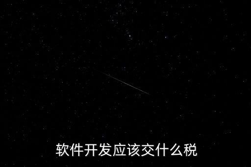  軟件開發(fā)應該交什么稅