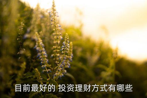 投資方式,六種主要投資方式