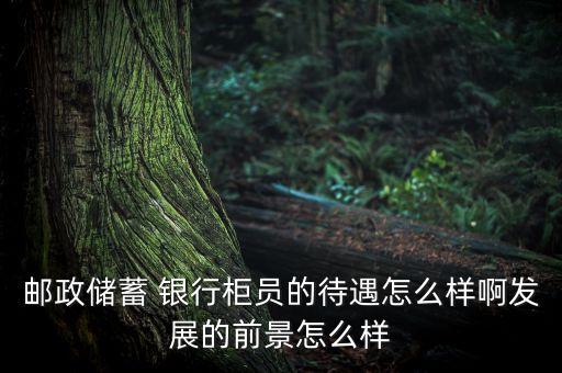 郵政儲蓄 銀行柜員的待遇怎么樣啊發(fā)展的前景怎么樣