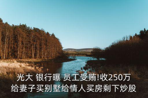 光大 銀行曝 員工受賄!收250萬給妻子買別墅給情人買房剩下炒股