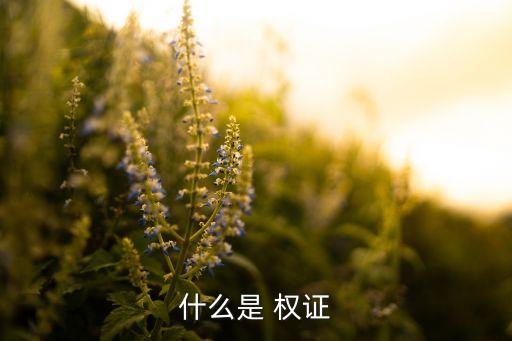 股票權(quán)證啥意思,股票全倉(cāng)和半倉(cāng)是什么意思