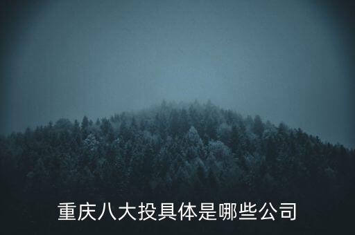 母公司統(tǒng)貸,人人貸母公司