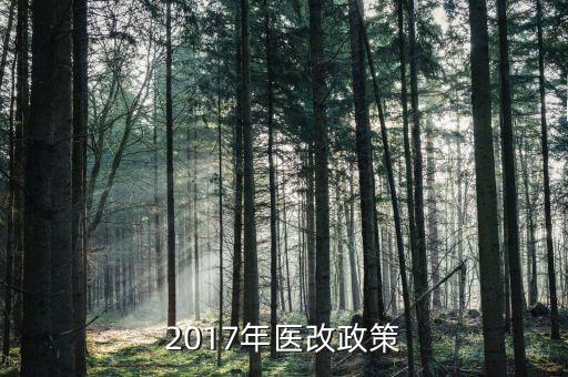 2017年醫(yī)改政策