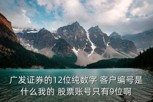 廣發(fā)證券的12位純數(shù)字 客戶編號(hào)是什么我的 股票賬號(hào)只有9位啊