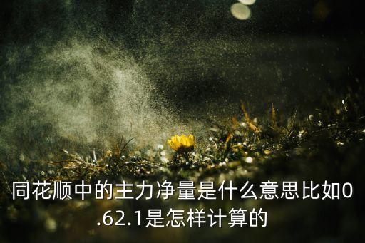 同花順中的主力凈量是什么意思比如0.62.1是怎樣計(jì)算的