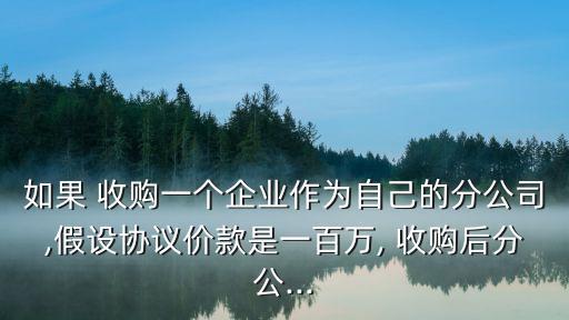 如果 收購(gòu)一個(gè)企業(yè)作為自己的分公司,假設(shè)協(xié)議價(jià)款是一百萬(wàn), 收購(gòu)后分公...