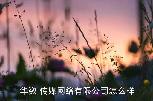  華數(shù) 傳媒網(wǎng)絡有限公司怎么樣