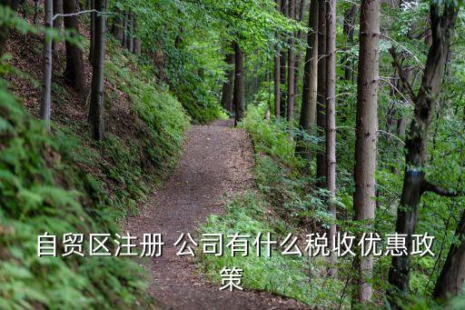  自貿(mào)區(qū)注冊 公司有什么稅收優(yōu)惠政策