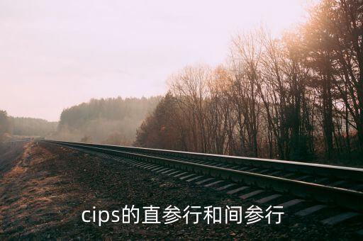  cips的直參行和間參行