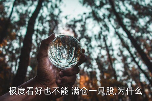 極度看好也不能 滿倉(cāng)一只股,為什么