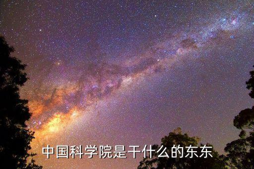 中國科學(xué)院是干什么的東東