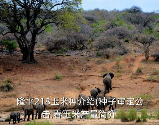 隆平高科中信集團2016