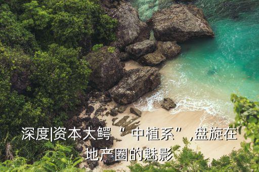 深度|資本大鱷“ 中植系”,盤(pán)旋在地產(chǎn)圈的魅影