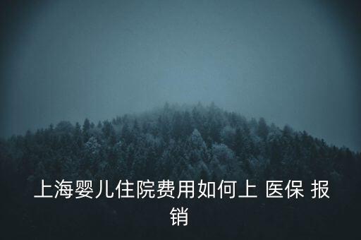  上海嬰兒住院費(fèi)用如何上 醫(yī)保 報(bào)銷