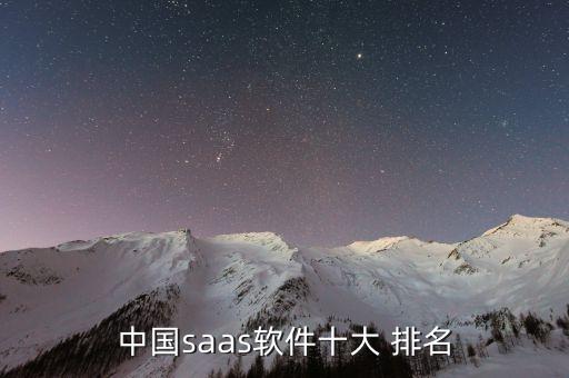 中國saas軟件十大 排名