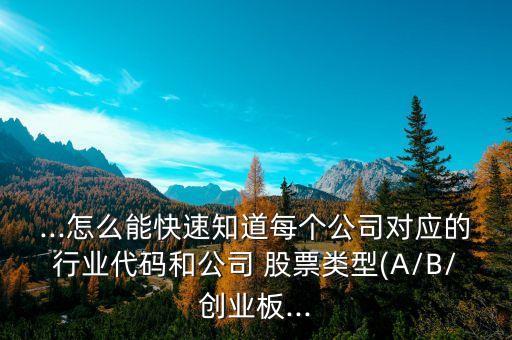 ...怎么能快速知道每個(gè)公司對(duì)應(yīng)的行業(yè)代碼和公司 股票類型(A/B/創(chuàng)業(yè)板...