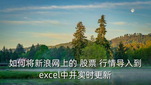 如何將新浪網(wǎng)上的 股票 行情導入到excel中并實時更新