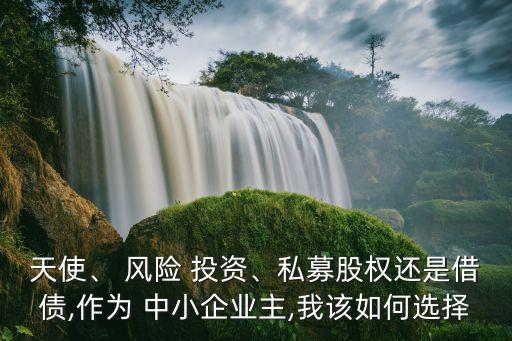 天使、 風(fēng)險 投資、私募股權(quán)還是借債,作為 中小企業(yè)主,我該如何選擇