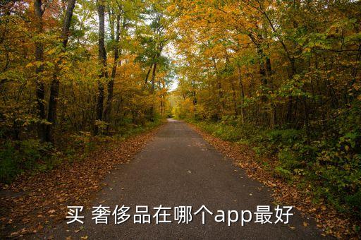 買 奢侈品在哪個(gè)app最好