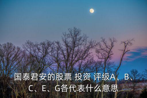 國泰君安的股票 投資 評級A、B、C、E、G各代表什么意思