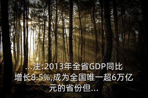 ...注:2013年全省GDP同比增長(zhǎng)8.5%,成為全國(guó)唯一超6萬(wàn)億元的省份但...