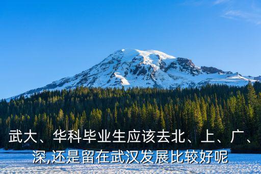 武大、華科畢業(yè)生應(yīng)該去北、上、廣、深,還是留在武漢發(fā)展比較好呢