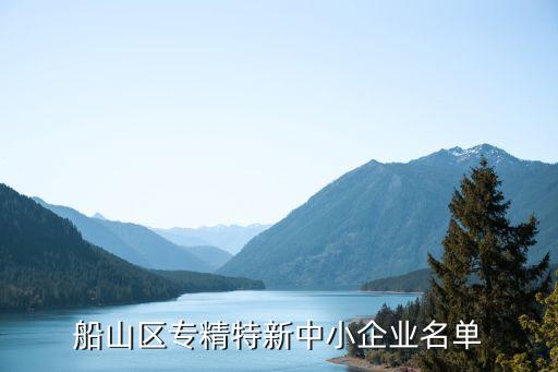 船山區(qū)專精特新中小企業(yè)名單