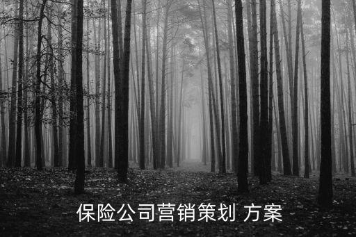  保險(xiǎn)公司營(yíng)銷策劃 方案