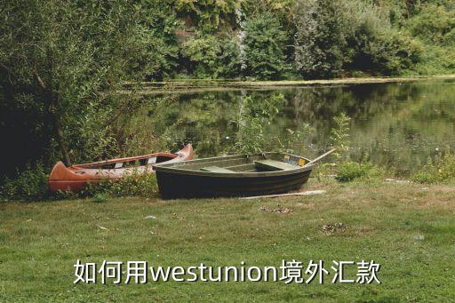 如何用westunion境外匯款