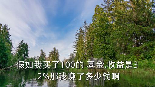 假如我買了100的 基金,收益是3.2%那我賺了多少錢啊