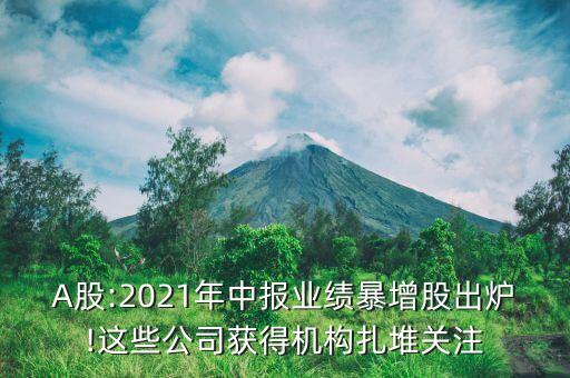 A股:2021年中報業(yè)績暴增股出爐!這些公司獲得機構(gòu)扎堆關(guān)注