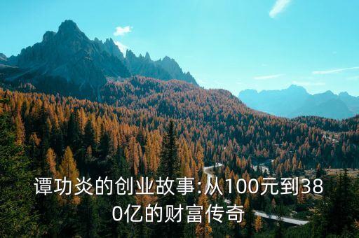 譚功炎的創(chuàng)業(yè)故事:從100元到380億的財富傳奇