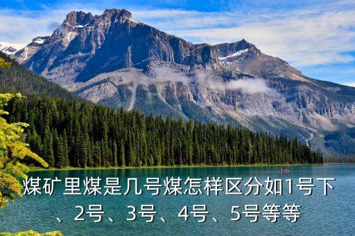  煤礦里煤是幾號煤怎樣區(qū)分如1號下、2號、3號、4號、5號等等