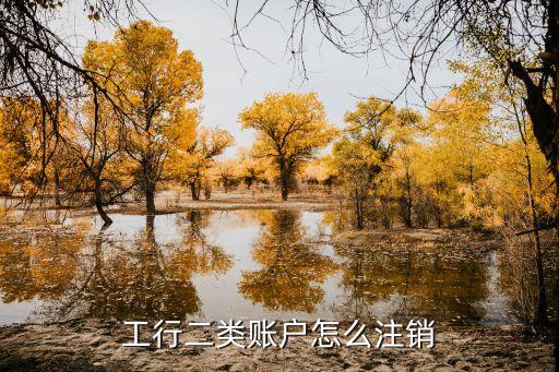 工商銀行儲(chǔ)蓄卡銷(xiāo)戶