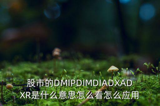 股市的DMIPDIMDIADXADXR是什么意思怎么看怎么應(yīng)用