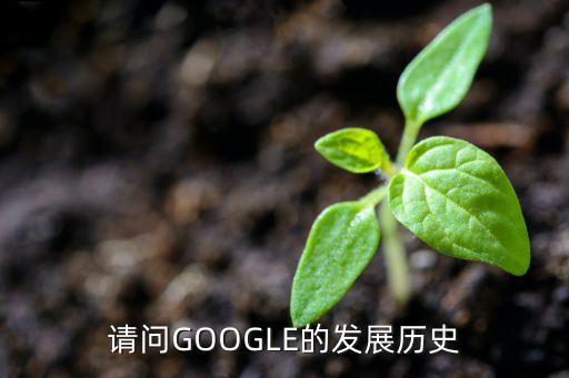 請(qǐng)問GOOGLE的發(fā)展歷史