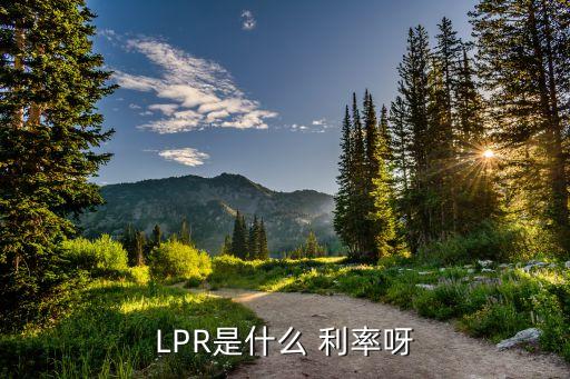 LPR是什么 利率呀