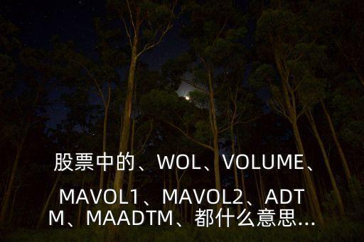  股票中的、WOL、VOLUME、MAVOL1、MAVOL2、ADTM、MAADTM、都什么意思...