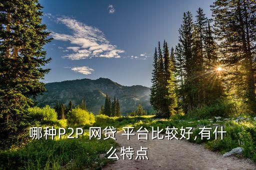 哪種P2P 網(wǎng)貸 平臺比較好,有什么特點(diǎn)