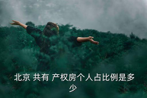  北京 共有 產權房個人占比例是多少