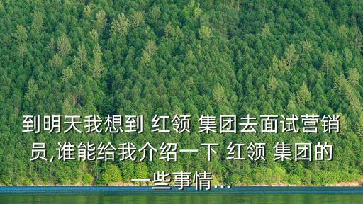 到明天我想到 紅領 集團去面試營銷員,誰能給我介紹一下 紅領 集團的一些事情...