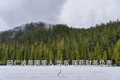 邱仁波是哪里人 華東 醫(yī)藥財(cái)務(wù)負(fù)責(zé)人