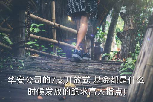 七個基金經理,基金經理的老婆是不是很優(yōu)秀