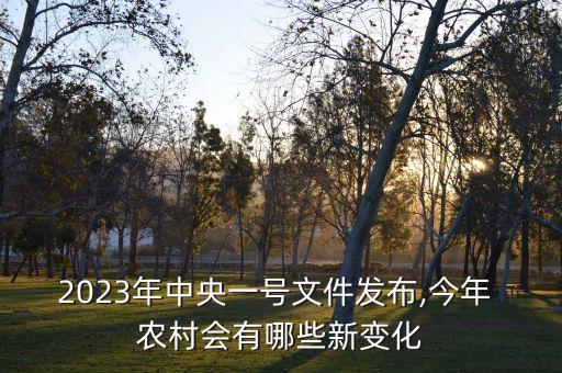 2023年中央一號文件發(fā)布,今年 農(nóng)村會有哪些新變化