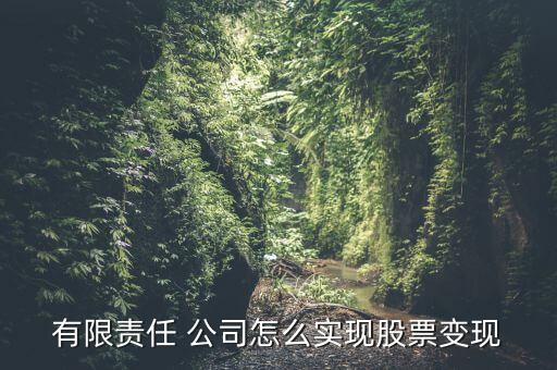 有限責(zé)任 公司怎么實(shí)現(xiàn)股票變現(xiàn)