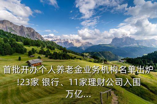 首批開辦個人養(yǎng)老金業(yè)務機構名單出爐!23家 銀行、11家理財公司入圍萬億...