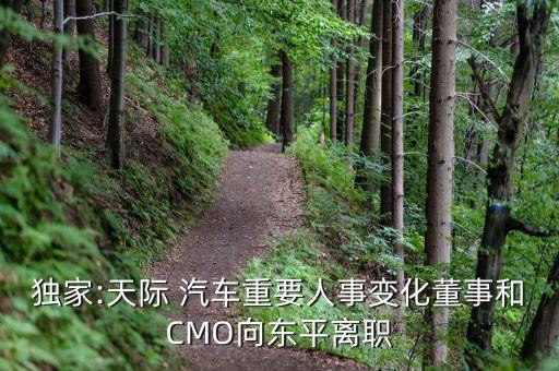 獨(dú)家:天際 汽車(chē)重要人事變化董事和CMO向東平離職