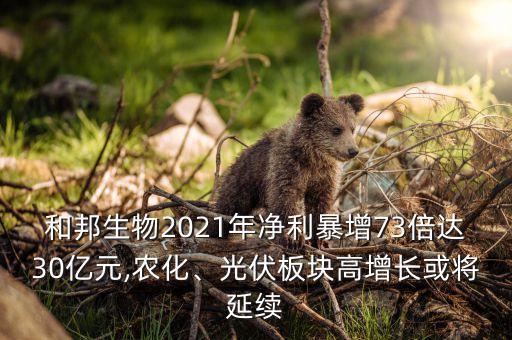 和邦生物2021年凈利暴增73倍達(dá)30億元,農(nóng)化、光伏板塊高增長或?qū)⒀永m(xù)